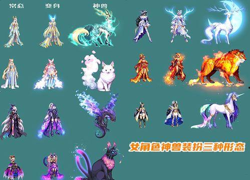 dnf最新龙袍爆料了吗,神秘龙袍即将登场，全新外观引玩家热议
