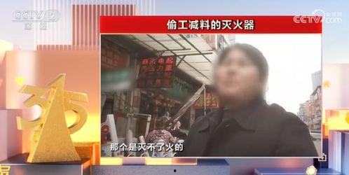 镇平新闻爆料事件视频大全,聚焦民生热点，揭示社会现象