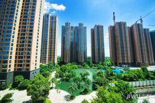 衡阳楼市最新爆料,最新爆料揭示市场新动向