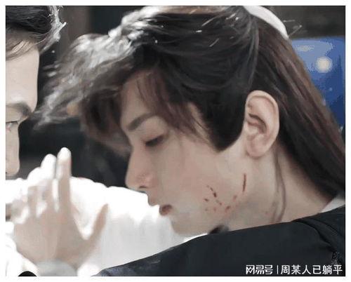 成毅爆料最新消息视频播放,揭秘幕后故事与精彩瞬间