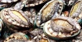 鲍鱼最新爆料视频大全,揭秘娱乐圈幕后真相