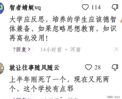 洛阳嵩县爆料事件始末最新消息,真相追踪与舆论发酵全纪录
