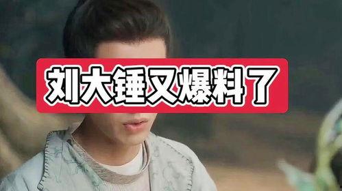 刘大锤爆料最新消息视频,揭秘视频背后的惊人真相