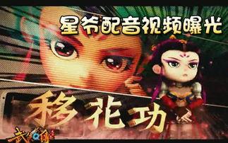 爆料武打视频在线观看免费,揭秘热门武打视频幕后秘辛