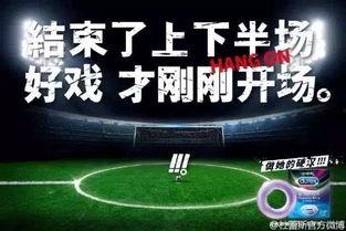 娱乐圈司机爆料文案大全,揭秘明星背后的真实故事