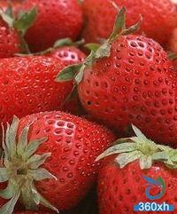 草莓热点爆料怎么做视频,揭秘视频制作背后的秘密与技巧