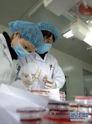 细菌实验室爆料视频,细菌研究背后的真实画面曝光