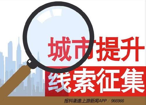 新闻爆料怎么操作,深度解析事件始末