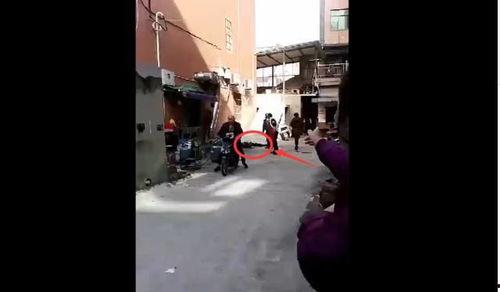 服装厂老板爆料视频大全,爆料视频大全背后的行业真相