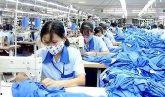 服装厂老板爆料视频大全,爆料视频大全背后的行业真相