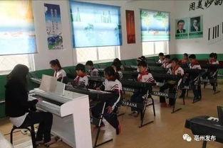 亳州爆料最新消息新闻,突发事件引发关注，详情即将揭晓