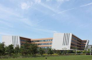 博达学院最新爆料信息,揭秘学院内部改革与未来发展动向