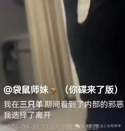 女主播爆料高管视频播放,网络直播背后的权力游戏
