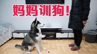 狗哥爆料新鞋视频播放下载,新鞋视频播放下载，潮流新品抢先看！