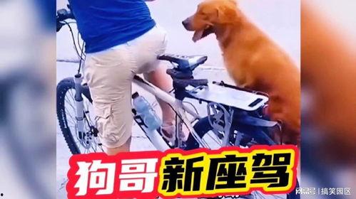 狗哥爆料新鞋视频播放下载,新鞋视频播放下载，潮流新品抢先看！