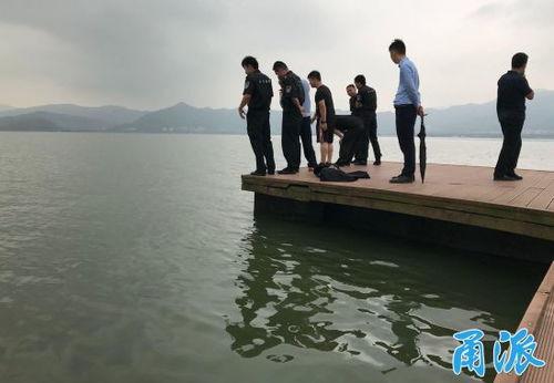 杭州爆料女孩视频大全下载,揭秘网络热点背后的真相
