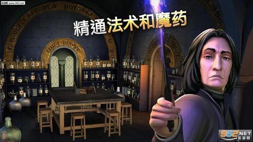 哈利波特除夕爆料视频,神秘视频曝光，魔法世界新年惊喜大公开