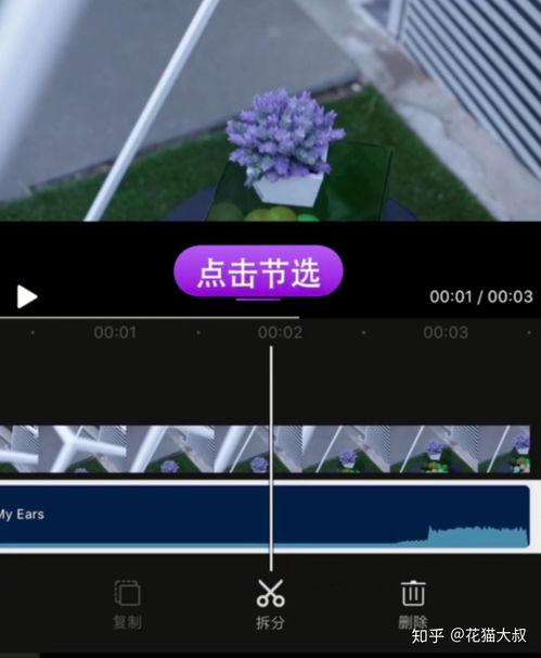 八卦爆料视频怎么剪辑,揭秘八卦爆料剪辑背后的精彩瞬间