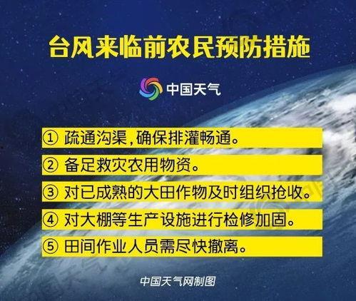 最新台风爆料新闻报道文章,揭秘即将来袭的超级风暴路径与影响”