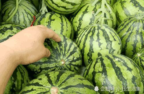 大瓜爆料西瓜怎么做视频,西瓜视频制作攻略，轻松上手！