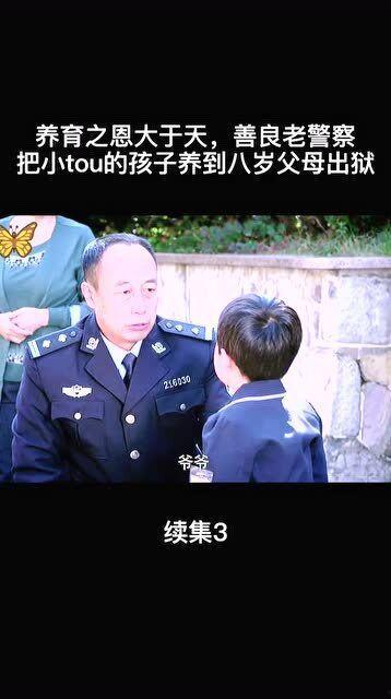 老警在线观看,在线揭秘警界传奇