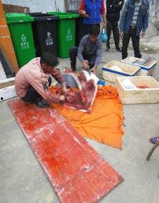 珠海网友最新爆料,揭秘珠海某神秘事件真相！