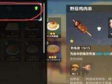 原神双子最新爆料消息,神秘双胞胎姐妹，揭开神秘面纱！