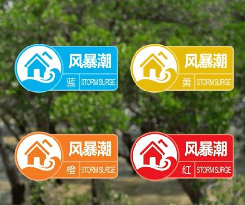 奶企高管爆料视频最新消息,揭秘行业黑幕与真相