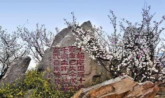 十梅庵今日爆料了吗最新消息,今日热点事件深度解析”