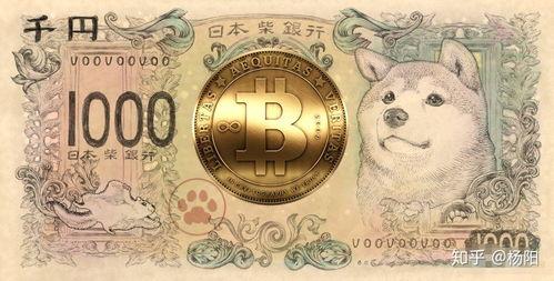 杨姐最新爆料视频在线观看,精彩内容抢先看！