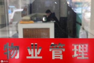 新城物业爆料事件视频,视频揭露惊人真相