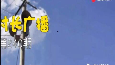解忧大队爆料视频全集,揭秘幕后真相与感人瞬间