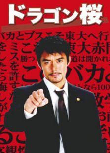 龙樱 在线观看,一场青春与梦想的激情碰撞