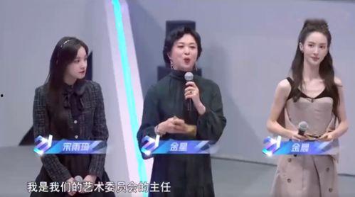 罗芳前夫爆料视频播放大全,真相与争议交织