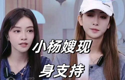 小杨嫂闺蜜爆料视频,揭秘背后惊人真相