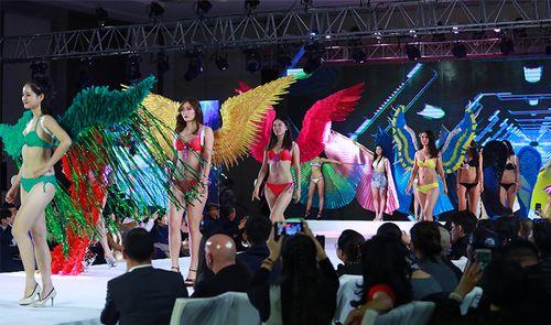 金川选美大赛爆料视频播放,精彩瞬间与幕后花絮大曝光