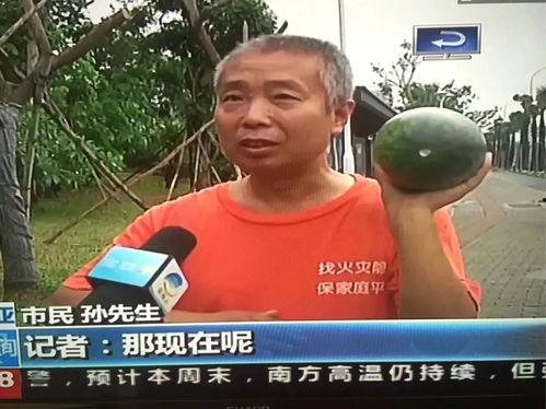 安庆吃瓜群众免费吃瓜事件,一场全民参与的夏日狂欢