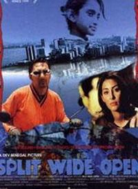 split在线观看,揭秘心理分裂的惊悚之旅