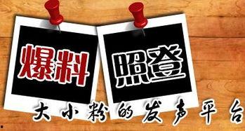 最近很火的新闻大爆料,真相与幕后黑幕全解析