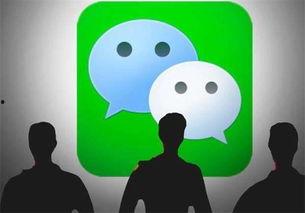 免费吃瓜qq免,轻松畅享娱乐盛宴的秘密通道