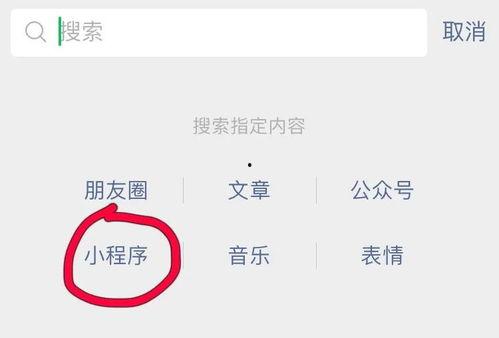 视频爆料网小程序有哪些,热门功能与使用攻略一览
