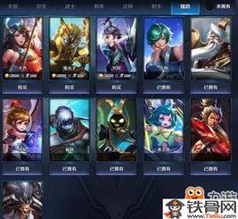 最新爆料王者皮肤图片,王者荣耀新皮肤惊艳亮相，神秘英雄形象首度曝光！