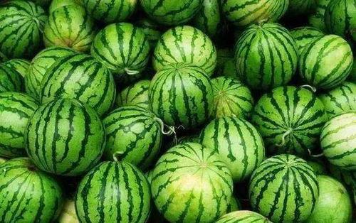 河北美术学院吃瓜网红,吃瓜网红带你领略校园美食风情