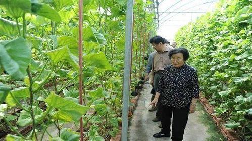 义乌吃瓜最新事件爆料是真的吗,最新爆料真相揭秘