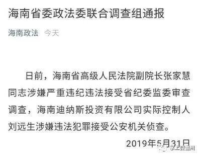 海南省政府爆料案件最新,重大案件细节曝光，真相大白！