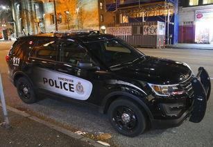 最新爆料车型有哪些车