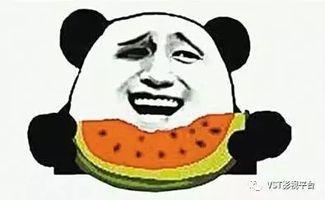 娱乐吃瓜君猴哥,揭秘娱乐圈背后的那些事儿