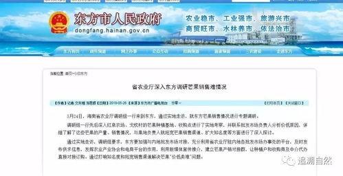 搜寻新闻媒体爆料电话是真的吗,真相究竟如何？