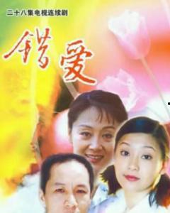 电视剧错爱在线观看