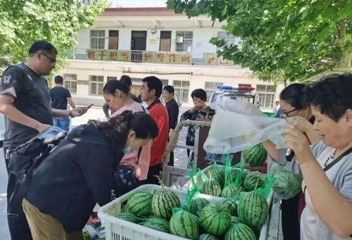 武都网红吃瓜群众事件视频,一场网络舆论的风暴与反思